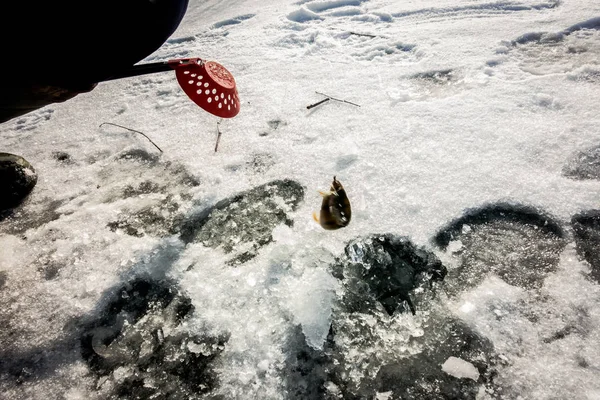 Pesca Invierno Desde Hielo — Foto de Stock