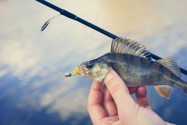 Fiske. Fiskare och fisk — Stockfoto