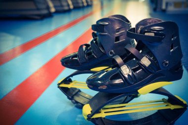 kangoo botları yakından atlar