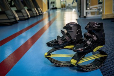 kangoo botları yakından atlar