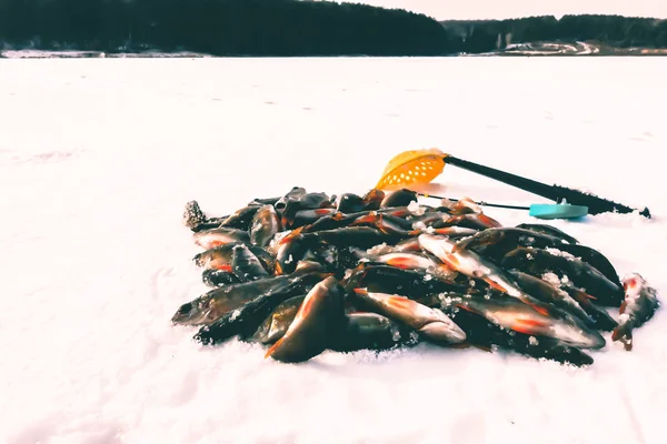 Χειμερινό Χόμπι Αλιείας Πάγου — Φωτογραφία Αρχείου