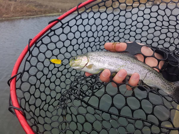 Background on a fishing theme — Stock Photo, Image