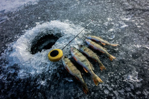 Zimní Rybářský Koníček — Stock fotografie