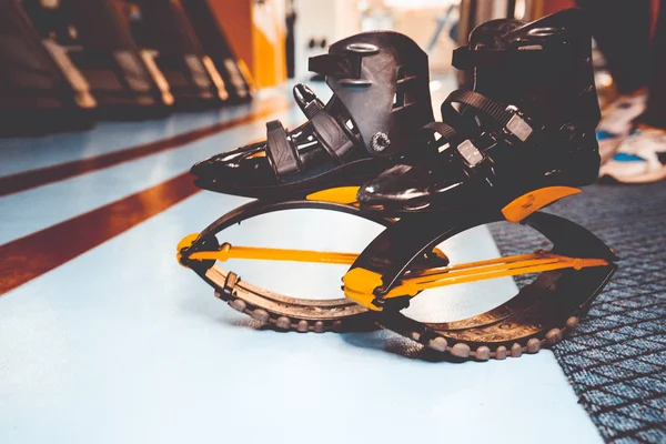 kangoo botları yakından atlar