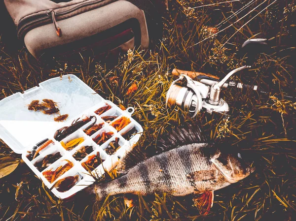 Concepto de pesca: pescado, caña de pescar, cebo —  Fotos de Stock