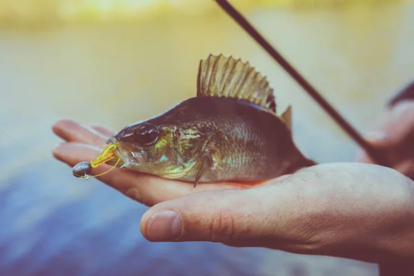 Fiske. Fiskare och fisk — Stockfoto