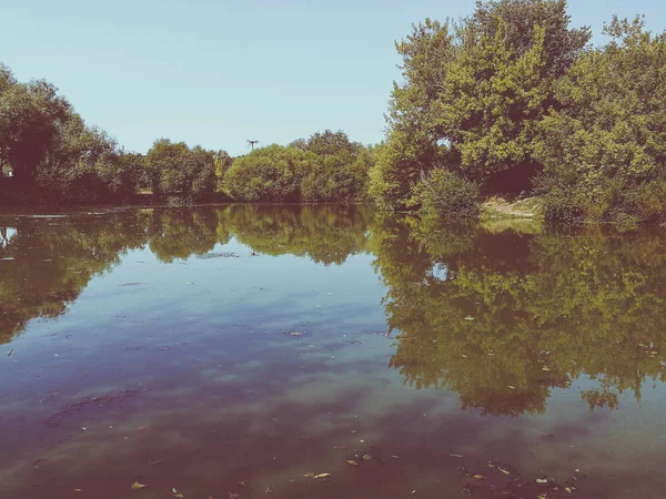 Hermoso lago de verano y árboles verdes —  Fotos de Stock