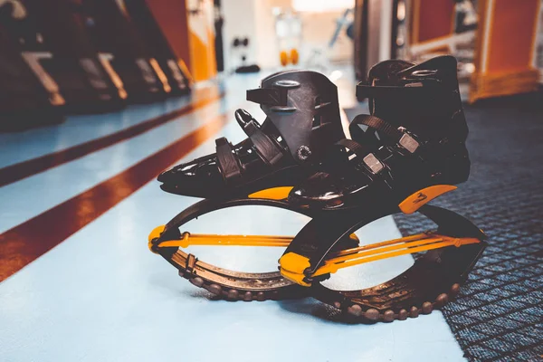 kangoo botları yakından atlar