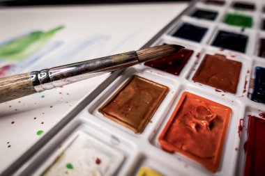 Araçlar Illustrator. Boyalar ve albüm