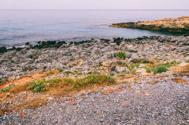 Seascape. Girit'e deniz gezisi