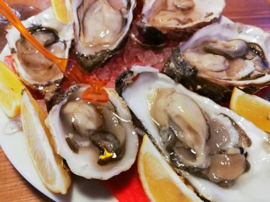 İstiridye masada şarap ile