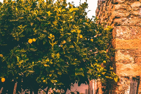 Paisaje marino. Viaje marítimo a Creta — Foto de Stock