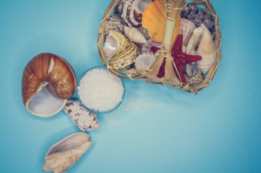 Kabukları ve deniz tuzu arka plan