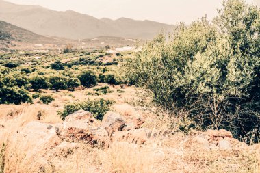 Seascape. Girit'e deniz gezisi