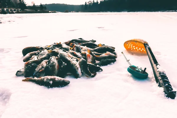 Winter Vissen Uit Ijs — Stockfoto