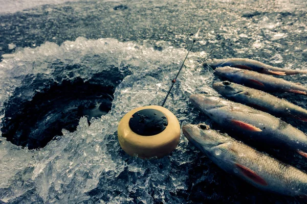 冬の氷釣り趣味 — ストック写真