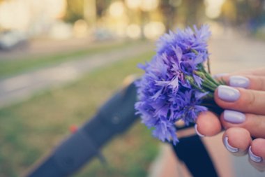 elinde cornflowers küçük buket