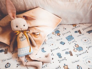 arabasındaki bebek oyuncak tavşan