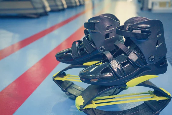 kangoo botları yakından atlar