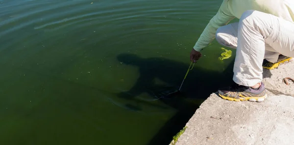 Öring Område Fiske Detaljer — Stockfoto