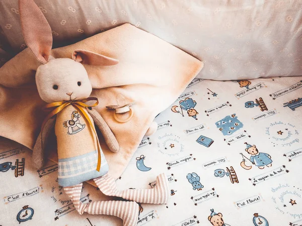 arabasındaki bebek oyuncak tavşan