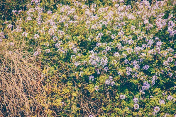 A paisagem marinha. Viagem marítima a Creta — Fotografia de Stock