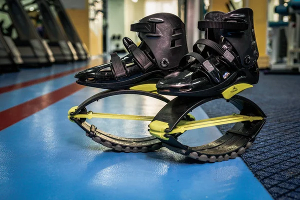 kangoo botları yakından atlar