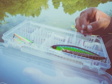 bir kutuiçinde balık için yem