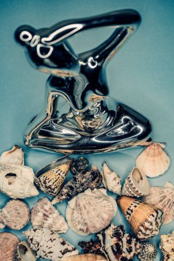 Arka plan mavi bir arka plan üzerinde deniz kabukları