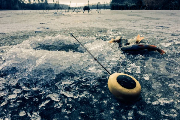 Льодова риболовля на озері — стокове фото