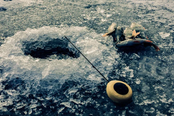 Pesca no gelo no lago — Fotografia de Stock