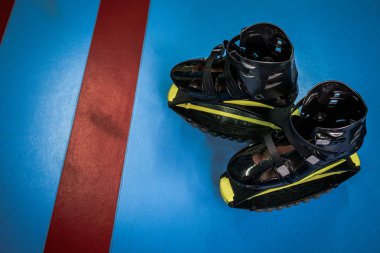 kangoo botları yakından atlar