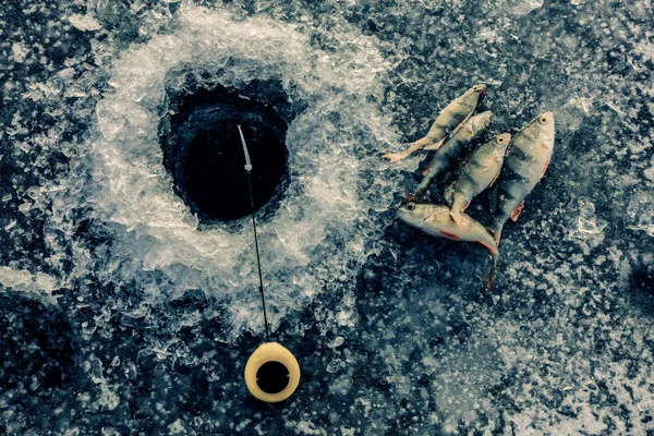 Pêche sur la glace sur le lac — Photo