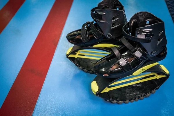 kangoo botları yakından atlar