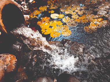 eski bir vazodan şelale