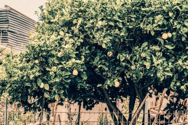 Seascape. Girit'e deniz gezisi