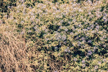 Seascape. Girit'e deniz gezisi