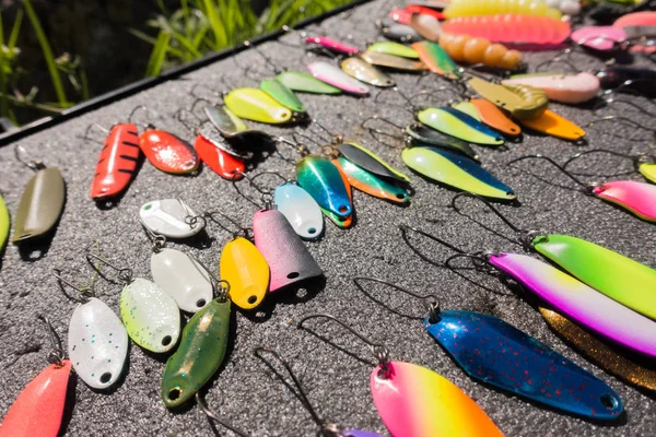 Vissers vangen regenboogforel van meer — Stockfoto