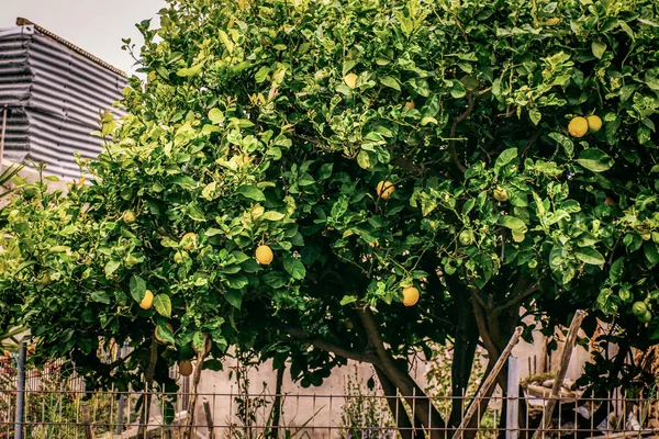Seascape. Girit'e deniz gezisi
