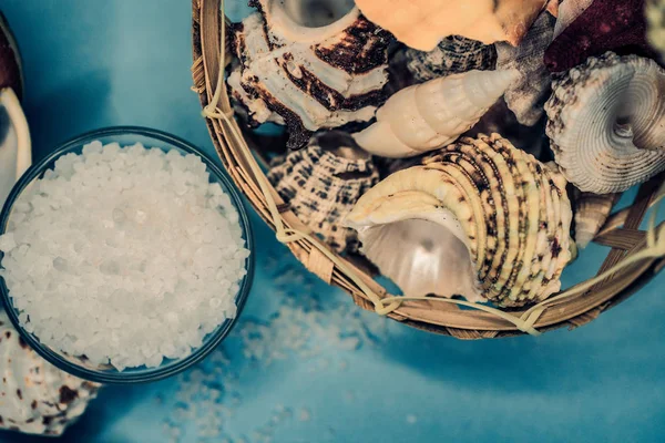 Conchas y fondo de sal marina — Foto de Stock