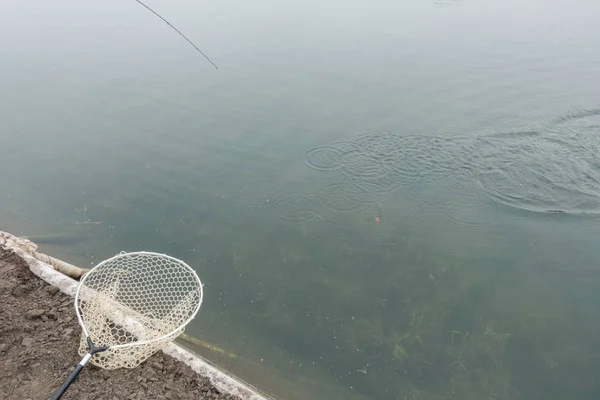 Contesto su un tema di pesca — Foto Stock