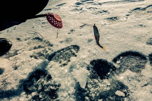 Зимова Риболовля Льоду — стокове фото