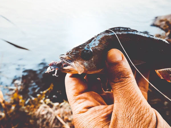 Der Fischer hält einen Fisch in der Hand — Stockfoto