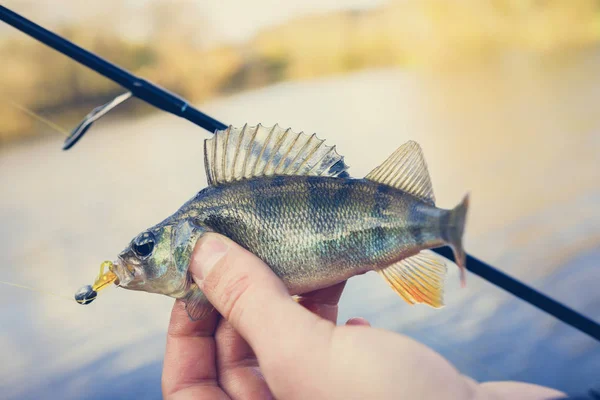 Pesca. Pescatore e pesce — Foto Stock