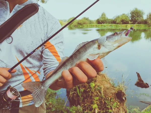 漁師は手に持った魚を捕まえた — ストック写真