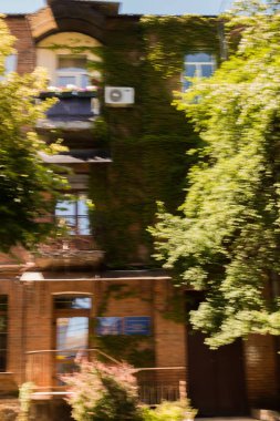 güzel şehir yeşil balkon