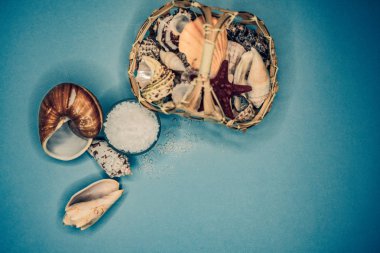 Kabukları ve deniz tuzu arka plan