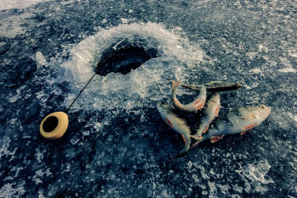Gölde buz balıkçılığı — Stok fotoğraf