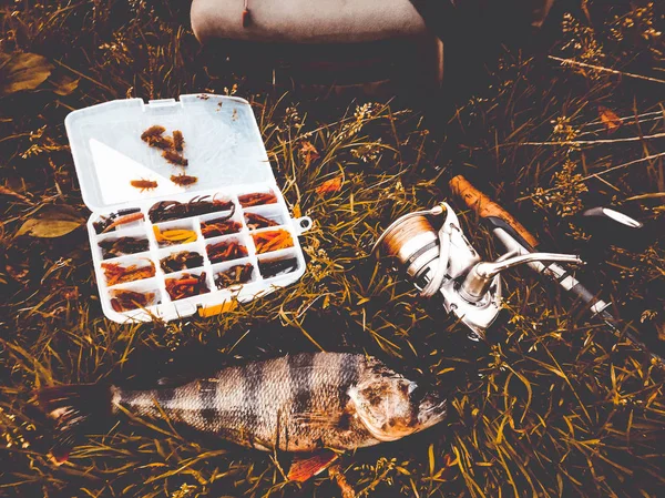 Balık tutma kavramı: balık, olta, yem — Stok fotoğraf