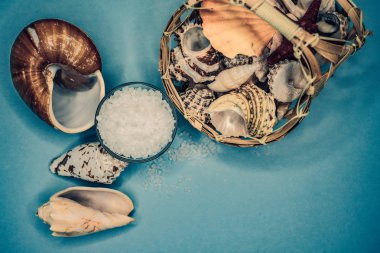 Kabukları ve deniz tuzu arka plan